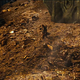 Image for article titled We've seen 20 minutes of The Hobbit: The Desolation of Smaug